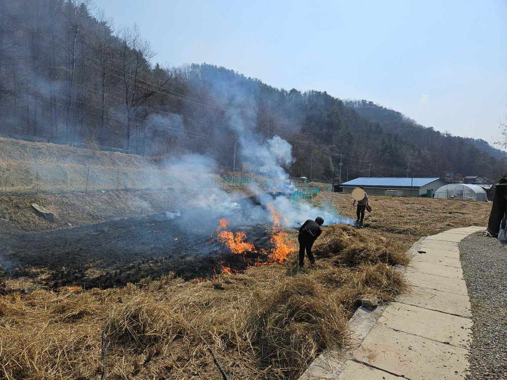 관련사진(불법소각).jpg