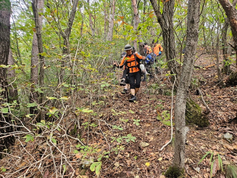 1000022934_44504174708045 (1).jpg