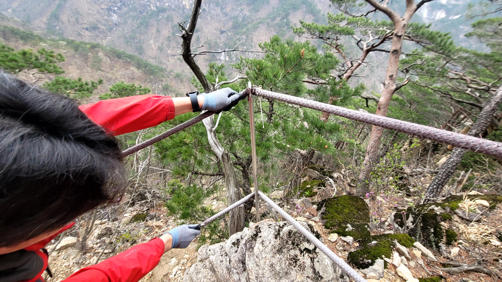 관련사진 (2).jpeg