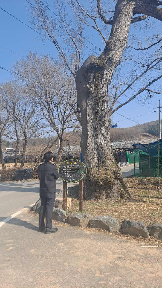 사본 -Photo1744181237.4777389.jpg