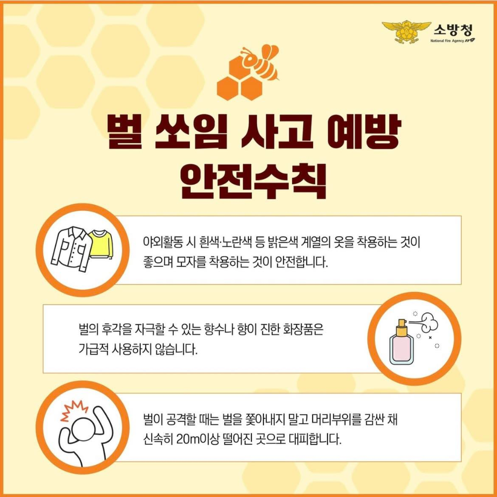 벌쏘임안전수칙.jpg