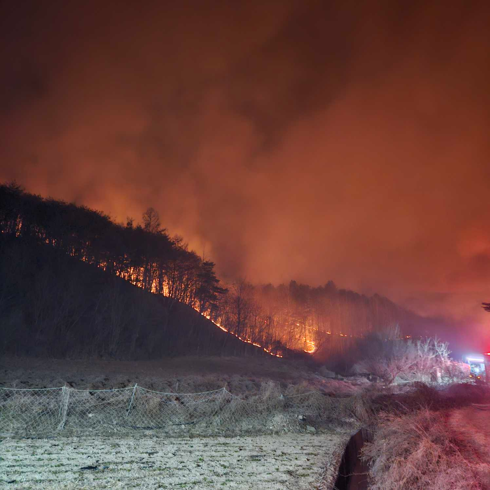 경북의성 현장활동3.jpg