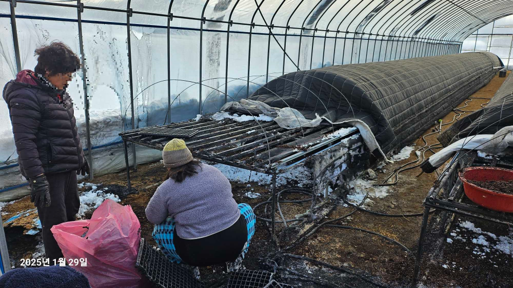 비닐하우스3.jpg