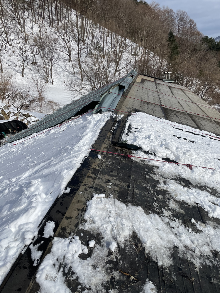 로프고정 및 안전조치 완료.jpg