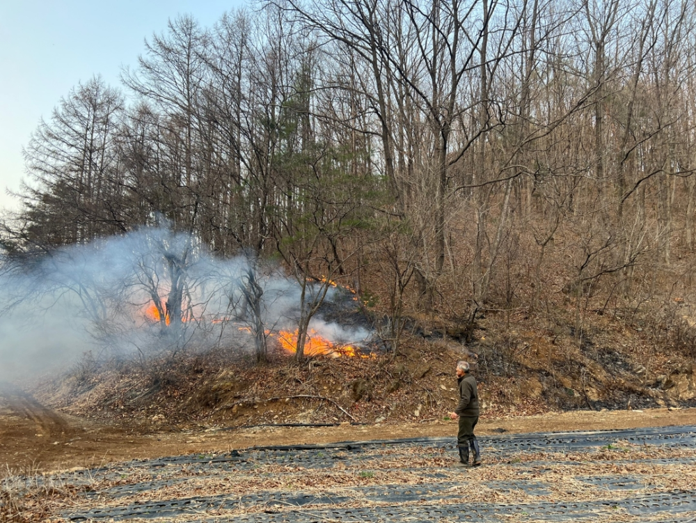 1742 영월남면 산림화재 소방활동 사진2.jpg