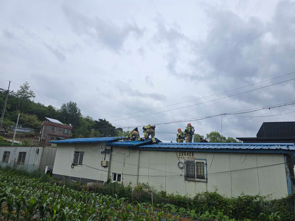 동해 용정동화재2.jpg