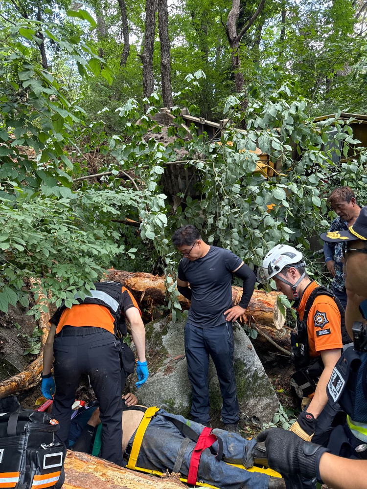 1109 인제 남면 벌목 작업자 구조활동 사진.jpg