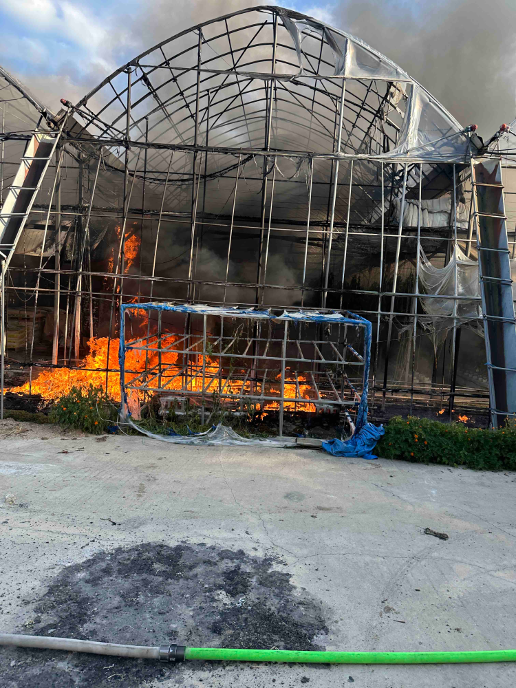 (1721)철원 근남면 비닐하우스 화재.jpg