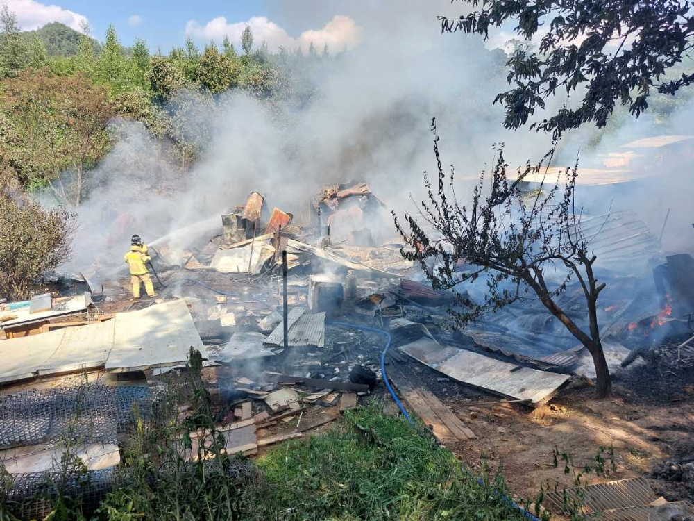 (1456)정선 여량면 봉정리 건물화재.jpg