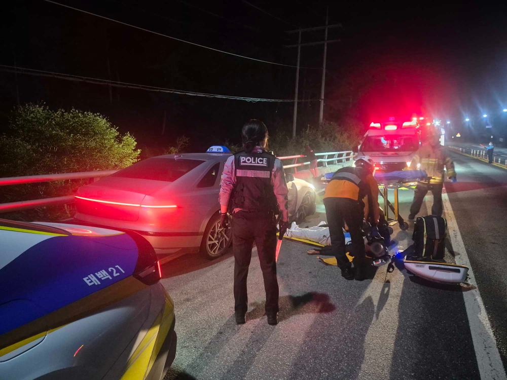 태백문곡동 현장활동1.jpg