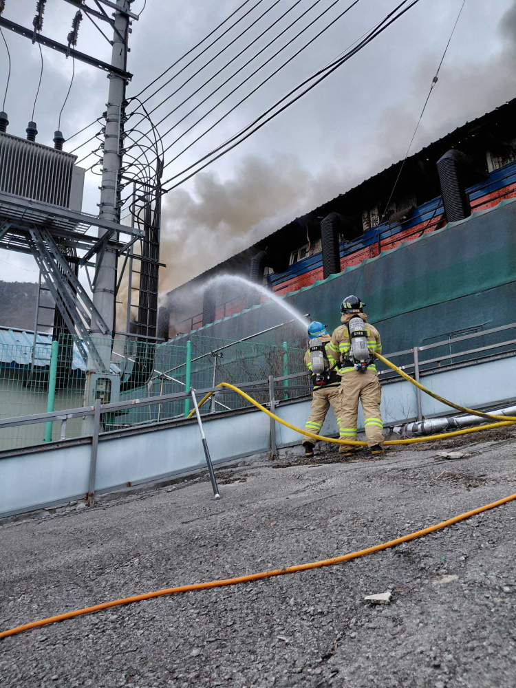 1623 횡성 돈사화재2.jpg