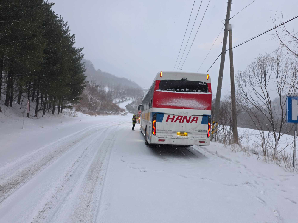 1640 태백시 황지동 산 버스 고립.jpg