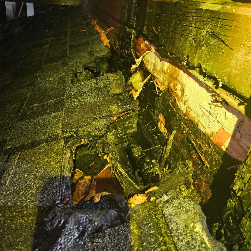 2126 평창 용평면 이목정리 보일러실화재-2.jpg