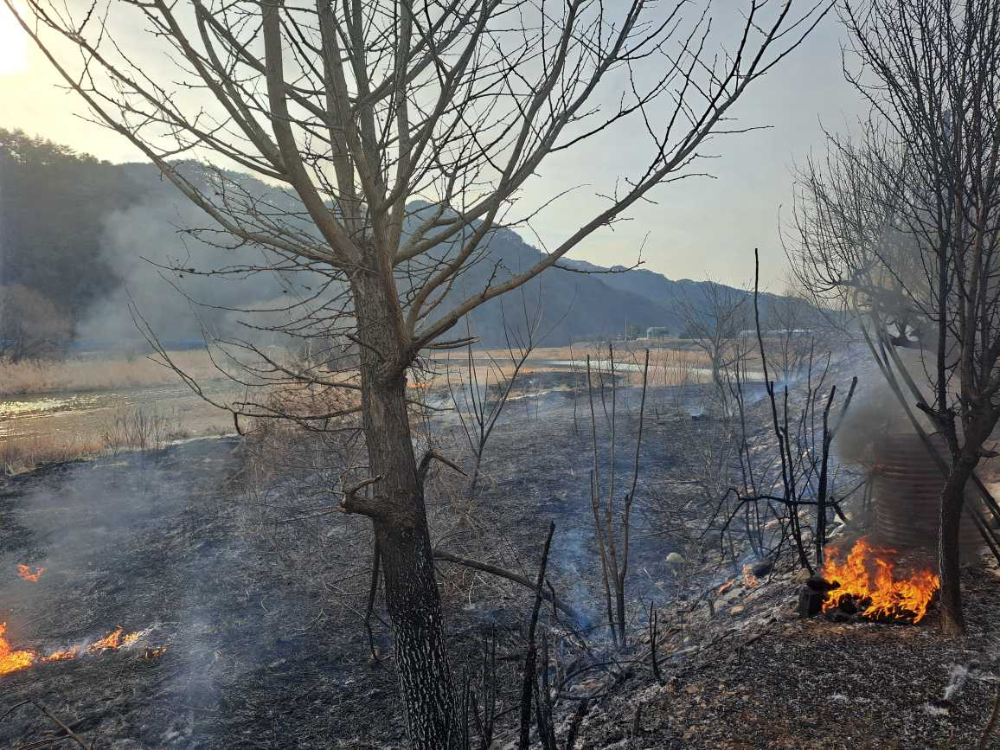 1. 20240316 홍천 쓰레기 소각(산림).jpg