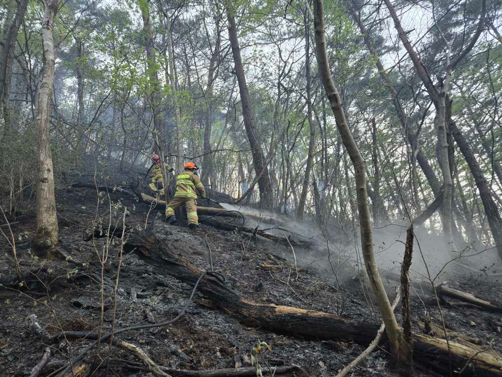 인제산불4.jpg