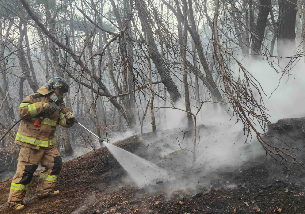 산불대응 관련사진 2.jpg