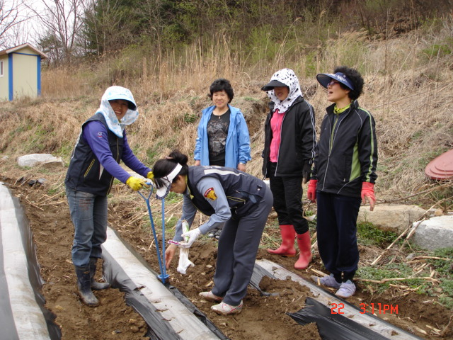 파종.JPG