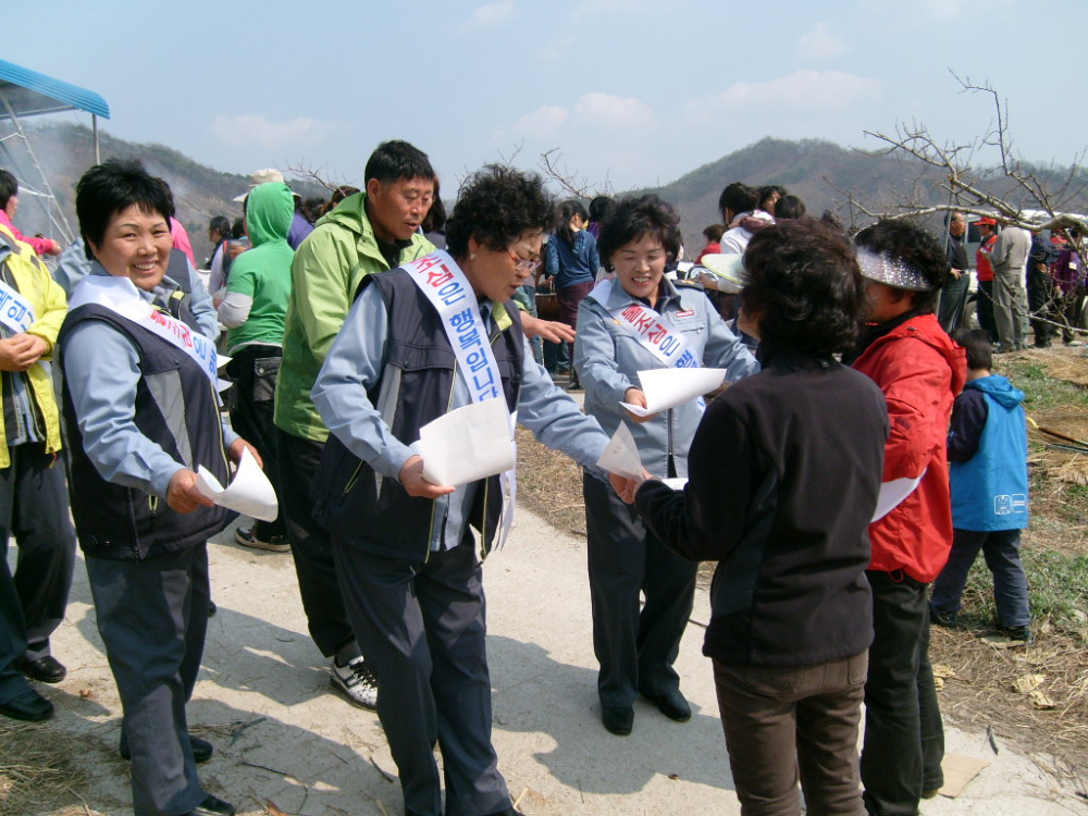 S7302741.JPG