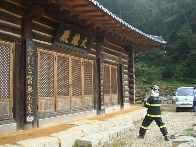 DSC02869.JPG