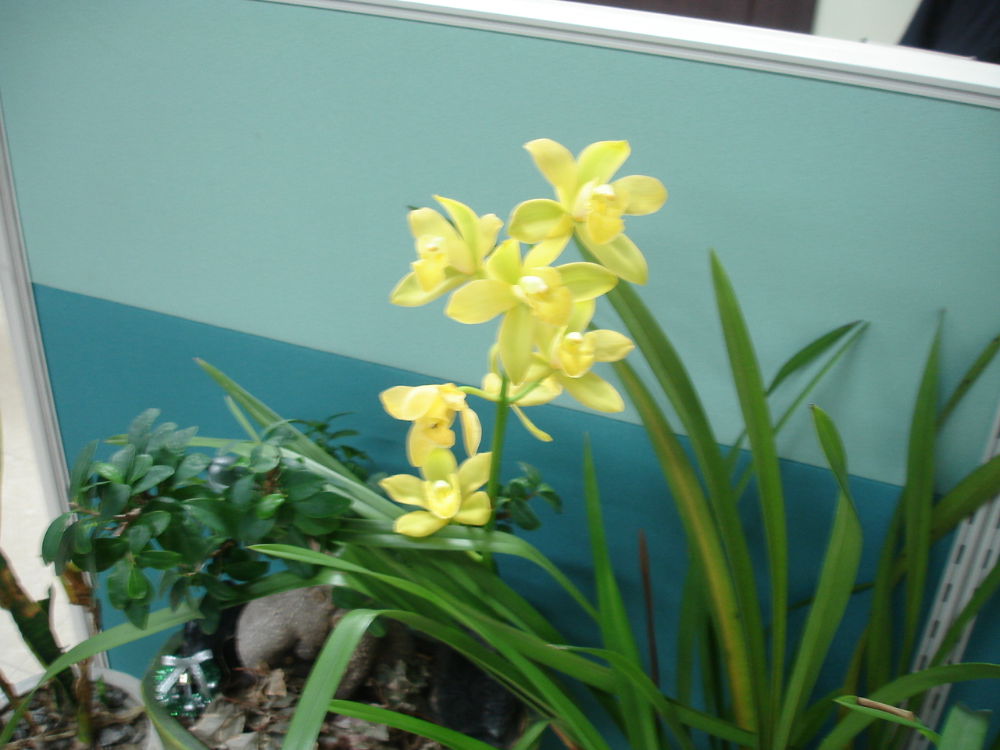 DSC04504.JPG