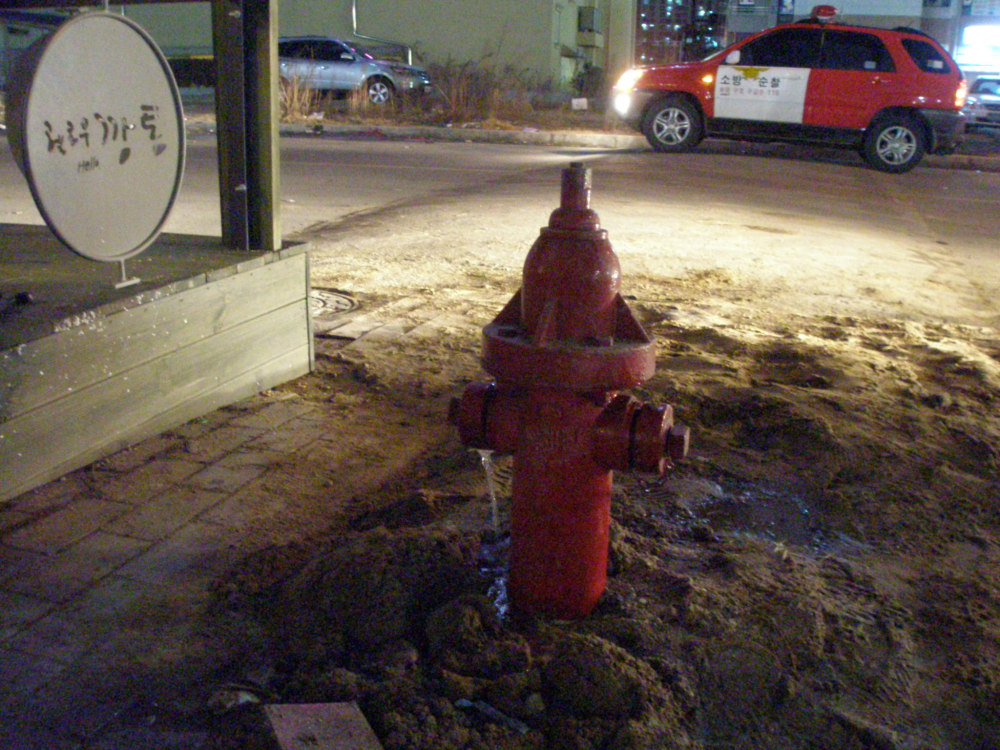 P2200634.JPG