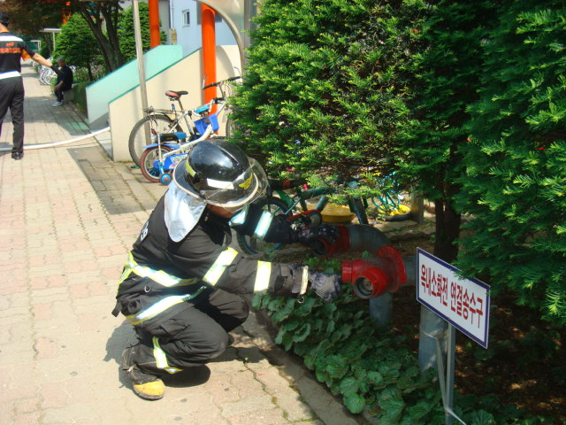 DSC04235.JPG