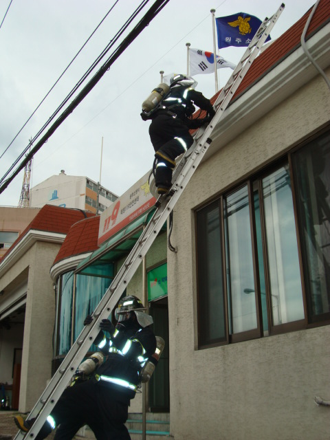 DSC04559.JPG