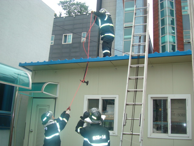 DSC08294.JPG