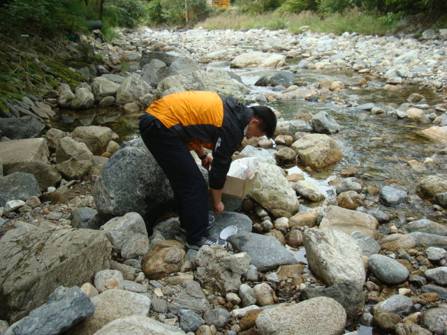 DSC06777.JPG