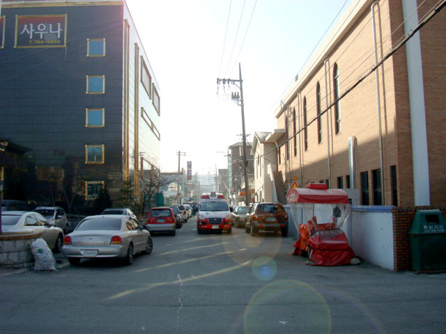 DSC05533.jpg