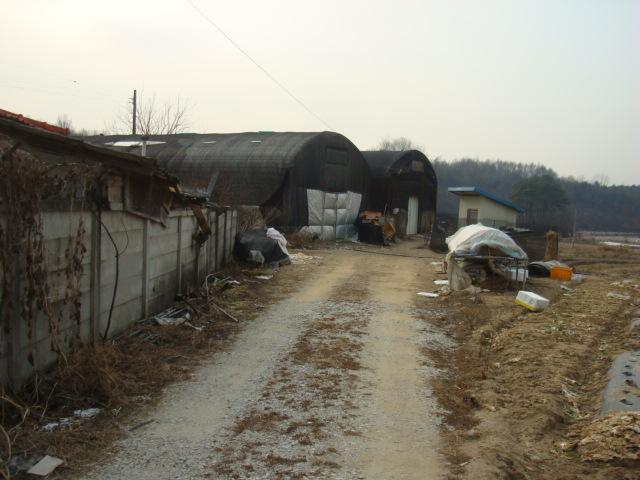 DSC07648.JPG