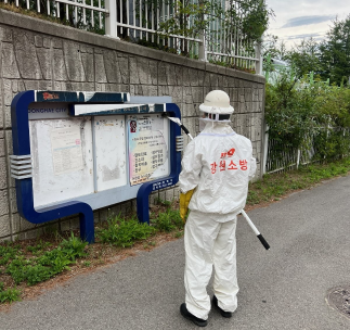 여름철 벌 쏘임 사고 급증 우려... 동해소방서, 시민 안전수칙 당부