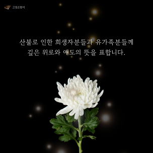 깊은 애도의 뜻을 표합니다.