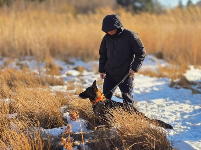 특수대응단 2권역 특수대응단과 구조견 합동 구조훈련 전개